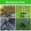 Landscape Staple U-Shaped Galvanized Pins with Gaskets and Hook 3