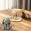 3D Rabbits Candle Mould Baking Molds Silicone Molds Plasters 5