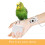 Bird Leashes Birds Outdoor Flight Training-Black 5.5mm ring 6