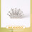 3 Stuks Kinder Tiara Haarkam Haaraccessoire Hoofdtooi 11