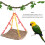Bird Parrot Swing Hammock Mordible Resistente 7