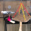 Bird Parrot Swing Hammock Mordible Resistente 8