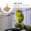 Bird Parrot Swing Hammock Mordible Resistente 9