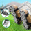 Adjustable Straps Garden Footwear For Soil Ventilation Includes 7