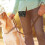 Bolsa Para Treinamento De Pets Com Porta Petiscos E 11
