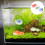 3St Drijvende Goudvis Decoratie Aquarium Ceramic Versiering 5