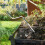 Efficient Humus Aerating Tool Constructed In Whirling Mechanism 7