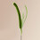 Tige de Teaser pour chats de compagnie, pour stimuler la-Vert 5