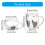 Tasse en verre transparent Unique avec fleur séchée,-350 ml 4