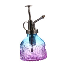 Flower Plant Watering Spray Portable Embossed Glass Bottle For Succulents And Houseplants