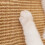 Grattoir ondulé pour chats, tampon à gratter avec Texture-XL 6