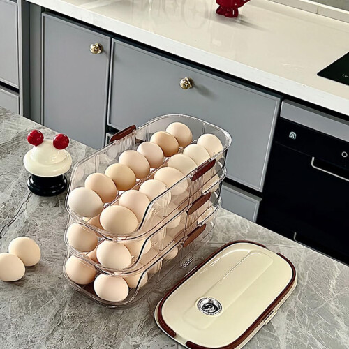 Egg Containers ABS Clear Storage Box With Preservation Labels Type 1 For Refrigerators Egg Holder 1