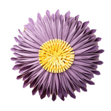 Housse de coussin élégante en velours à motifs de pétales de fleurs, créant un beau contraste dans n'importe quelle pièce
