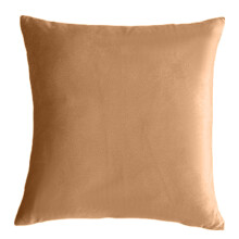Housses de coussin décoratives en velours résistantes à la décoloration et faciles d'entretien (40 x 40 cm)