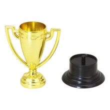 Set of 6 Recognition Awards Elegant Cups for Honoring