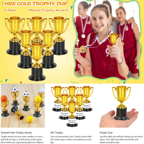 Set of 6 Recognition Awards Elegant Cups for Honoring 1
