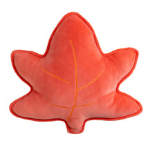 Cadeau idéal pour la famille, coussin décoratif polyvalent en peluche pour la chambre, le bureau, la chaise, le canapé ou le lit, décoration