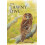 The Tawny Owl 1