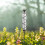Rain Gauge for Precise Garden Rainfall Measurement and 5