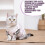 Cats Alternative Recovery Suit for Post-S Colored dinosaurs 3
