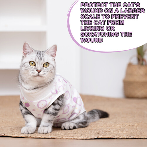 Cats Alternative Recovery Suit for Post-S Colored dinosaurs 2