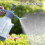 3L Capacity Pressure Sprayed Watering Can-Watering can univers 6