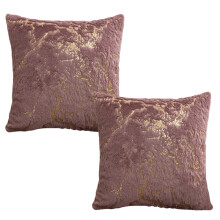 Housses de coussin douces, design deux-en-un, peluche luxueuse pour la décoration du salon, taies d'oreiller décoratives avec fermeture éclair