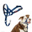 Halti Anti-traction dog leash - Halti - Size 2 - Cobalt Blue - Padded muzzle - Reflective elements 1