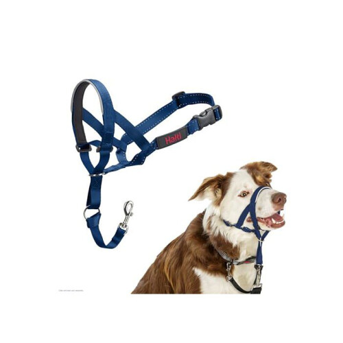 Halti Anti-traction dog leash - Halti - Size 2 - Cobalt Blue - Padded muzzle - Reflective elements 1