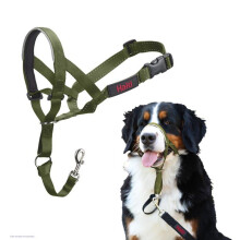Anti-traction dog leash - Halti - Size 4 - Forest Green - Durable nylon - Padded neoprene muzzle