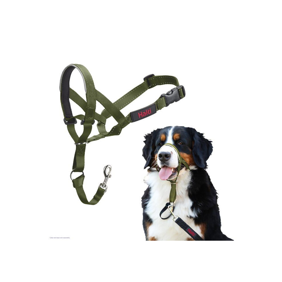 Halti Anti-Traction Dog Leash - Size 4 - Forest Green - Durable Nylon - Padded Neoprene Muzzle