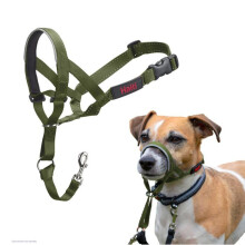 Anti-pull leash for dogs - Halti - Size 1 - Forest Green - Padded muzzle - Reflective elements
