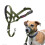 Halti Anti-pull leash for dogs - Halti - Size 1 - Forest Green - Padded muzzle - Reflective elements 1