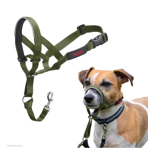 Halti Anti-pull leash for dogs - Halti - Size 1 - Forest Green - Padded muzzle - Reflective elements