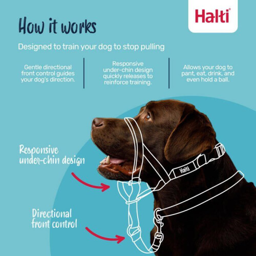Halti Anti-pull leash for dogs - Halti - Size 1 - Forest Green - Padded muzzle - Reflective elements 2