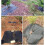 20X Strong PRESENTATION Landscape Fabric Grass Control Mat With 3
