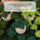 DIY Handmade Crochet Kits for Beginners-3 hanging basket com 6