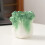 Ceramic Cabbage Shaped Pen Holder Desktop Container for Pens and 6