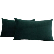 Décorez votre intérieur avec des housses de coussin décoratives en velours doux et uni. Leur tissu résistant garantit longévité et style, et