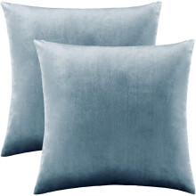 Taies d'oreiller en velours polyvalentes, housses douces et confortables pour une allure luxueuse, lot de 2