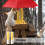 Natural Wood Squirrels Corn Feeders Stable Structure for Outdoor 7