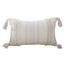 Housse de coussin décorative style rustique rétro bohème, style ferme, minimaliste et neutre, fermeture éclair invisible, matière épaisse et