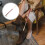 Shoe Horn Com Longo De 46Cm E Decoração De Cabeça De Vaca 6