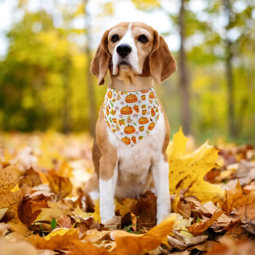 Pet Parade, Μπαντάνες για Σκύλους για την Ημέρα των Ευχαριστιών με Αναστρέψιμες 2