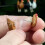 Delicate Rooster Motif Stud Earrings Versatile Day To-White 6