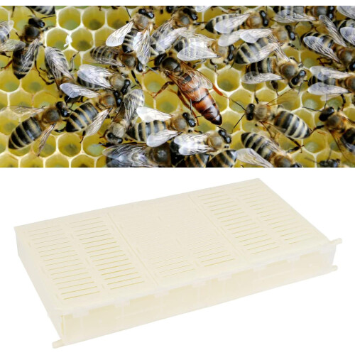 Gardening Bee Spawning Controller Single Frame Plastic Beekeeping Box For Beehives 1