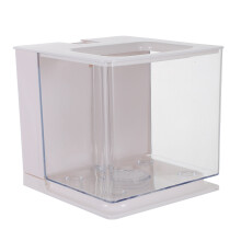 Kleiner Transparenter Fischzuchtbehälter Aus Acrylglas