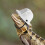 6St Mini Sicherheitshelm Modell Verbreiteter Bauhelm Puppenhelm 9