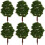 20St 9Cm Landschafts-Modellbäume Grün 4