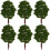 20St 9Cm Landschafts-Modellbäume Grün 4